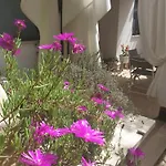 Il Giardinetto Di Dilyana 3* Monterosi