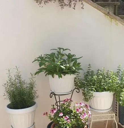 Guest house Il Giardinetto Di Dilyana *