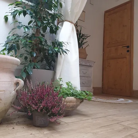 Guest house Il Giardinetto Di Dilyana Monterosi