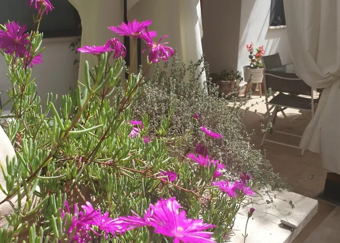 Il Giardinetto Di Dilyana 3* Monterosi
